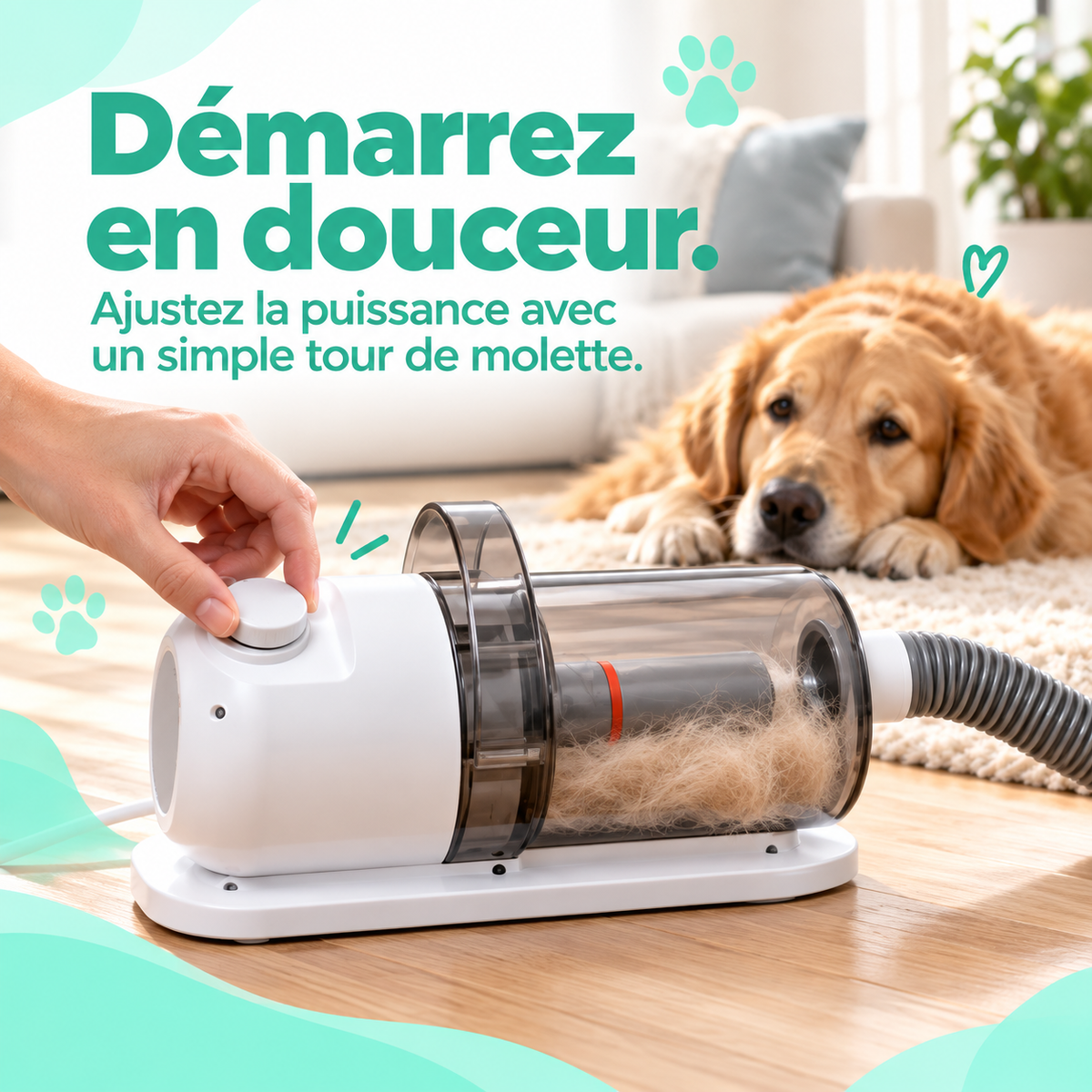 Ariaa™ - Nettoyez votre chien chez vous en 15 minutes sans qu'un seul poil ne tombe par terre